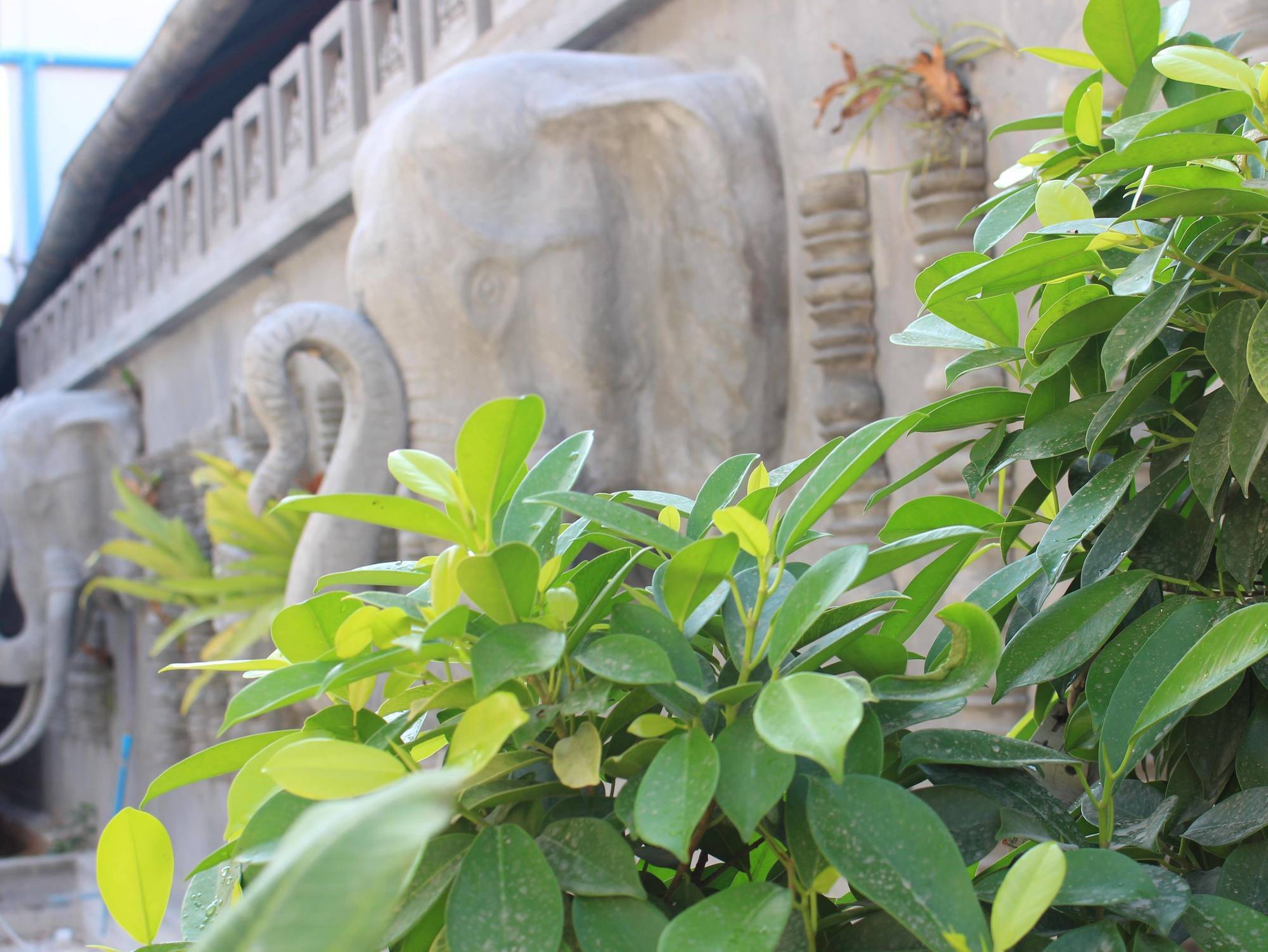 Fancy Boutique Villa Hotel Siem Reap Buitenkant foto